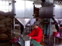 3g-50g Green Tea Weighing Machine / Semi-Automatic Packing Machine